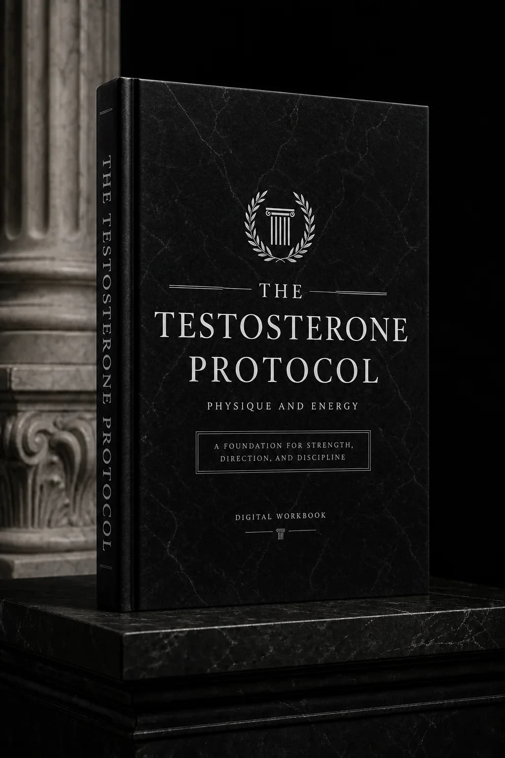 The Testosterone Protocol — black marble digital guide cover