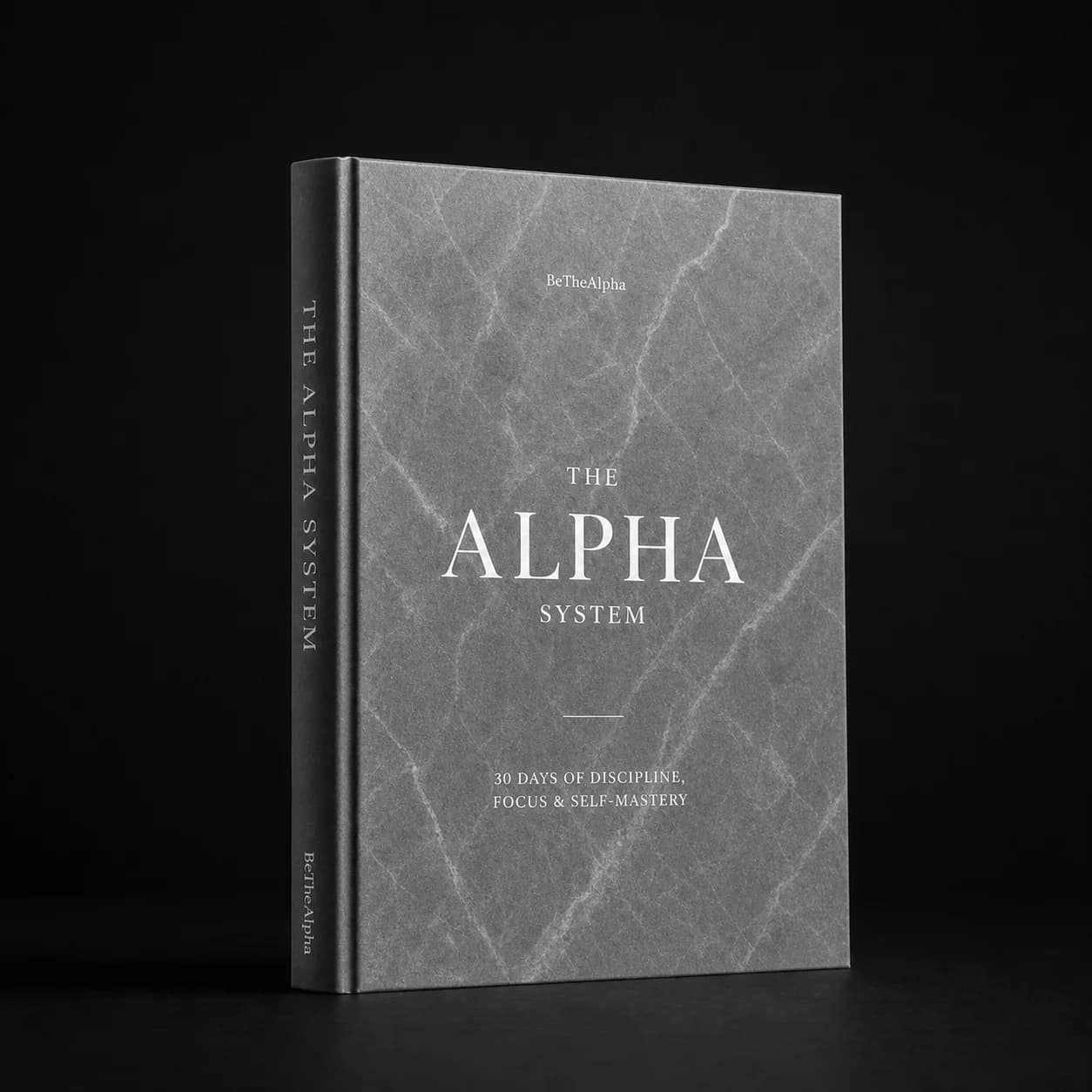 The Alpha System — gray marble digital workbook cover